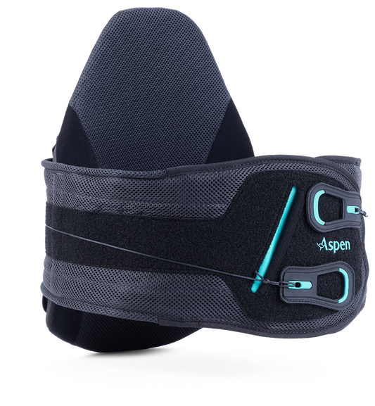 Horizon™ 631 Pro LSO Back Brace