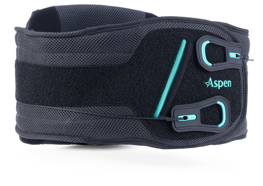 Horizon™ 627 Pro Lumbar Brace